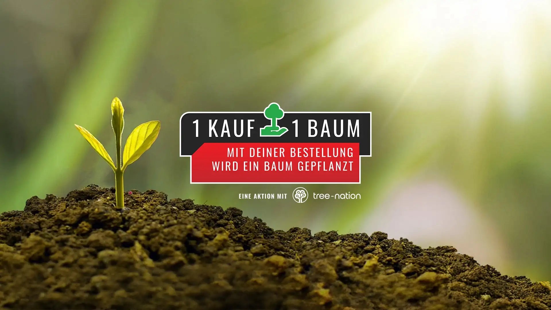 Ein lebendiges grünes Bäumchen mit zarten, sich entfaltenden Blättern sprießt aus nährstoffreichem braunem Boden.